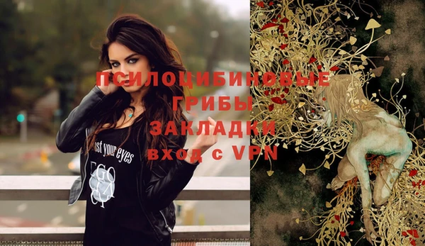 прущие крисы Аркадак