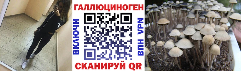 Купить  Сухиничи  Псилоцибиновые грибы GOLDEN TEACHER 